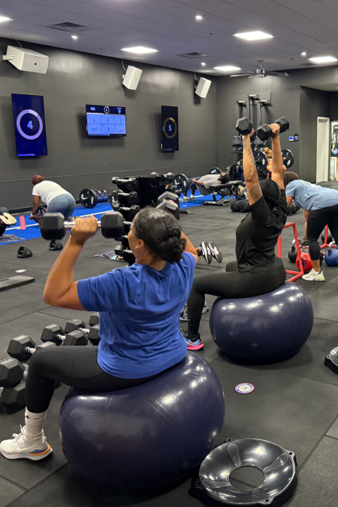 Memphis Fitness Company - Germantown | Drop In Fitness in